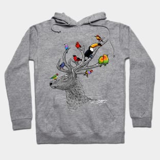 Deer with tropical birds Hoodie